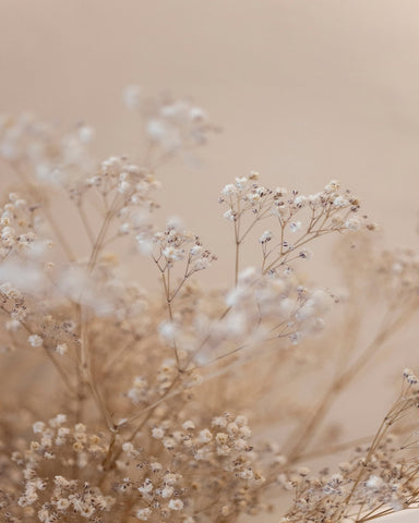 Soft Baby Flowers