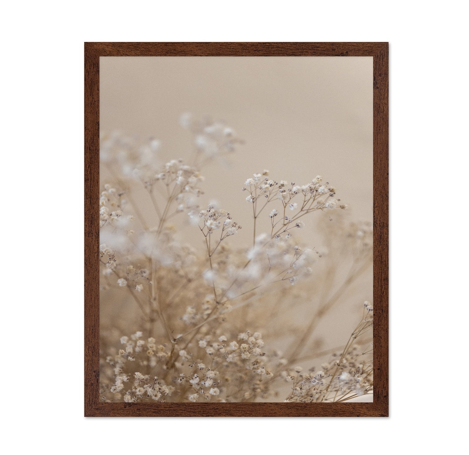 Soft Baby Flowers