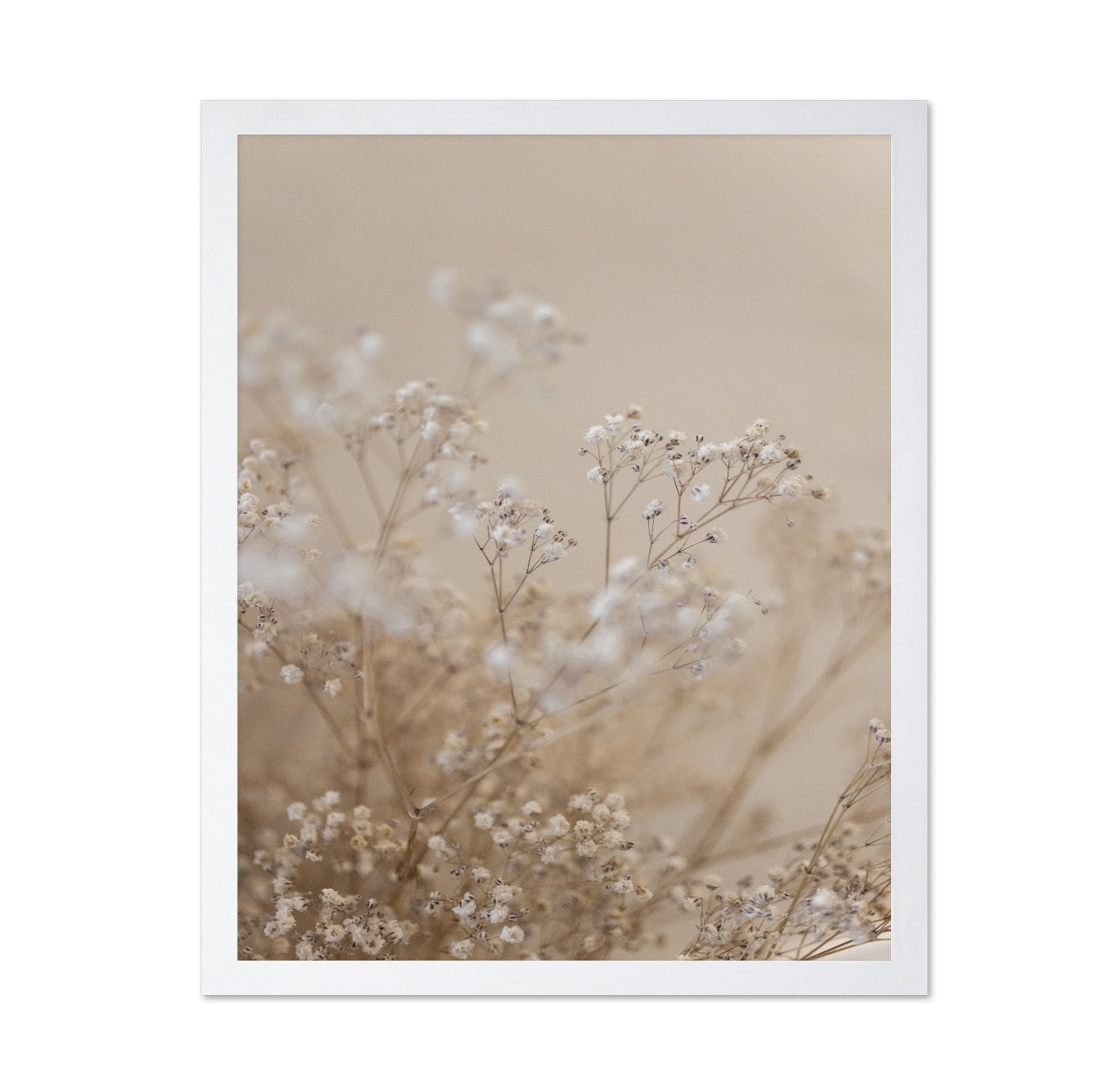 Soft Baby Flowers