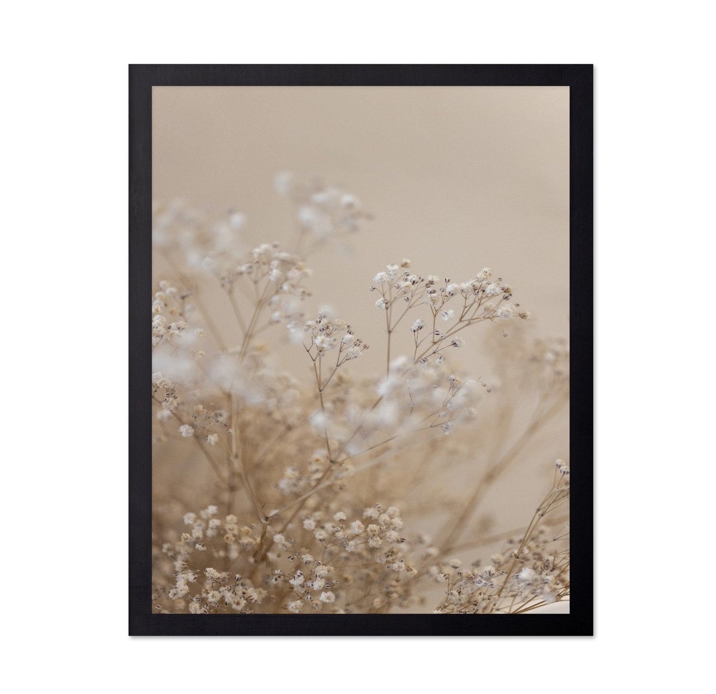 Soft Baby Flowers