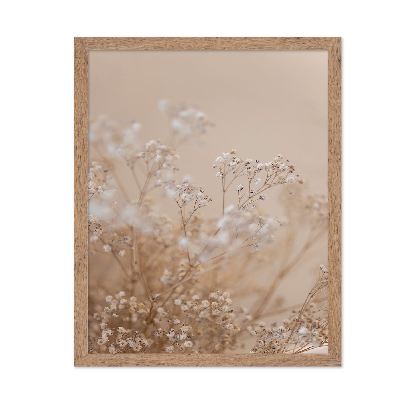 Soft Baby Flowers