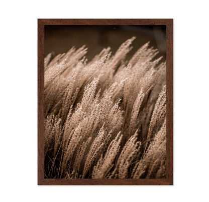 Golden Field Grasses