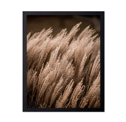 Golden Field Grasses