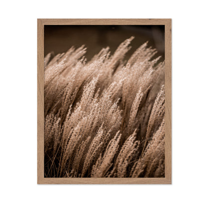 Golden Field Grasses
