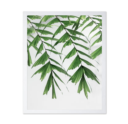Delicate Green Fronds