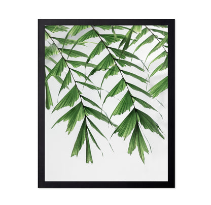 Delicate Green Fronds