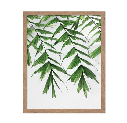 Delicate Green Fronds