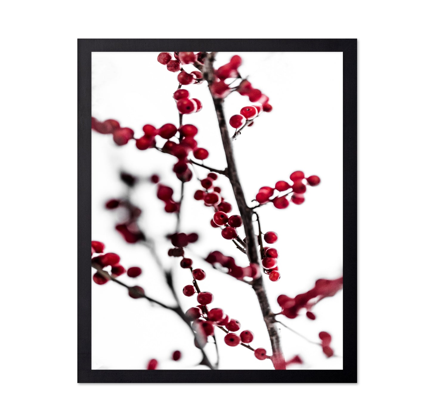 Winter Red Berries