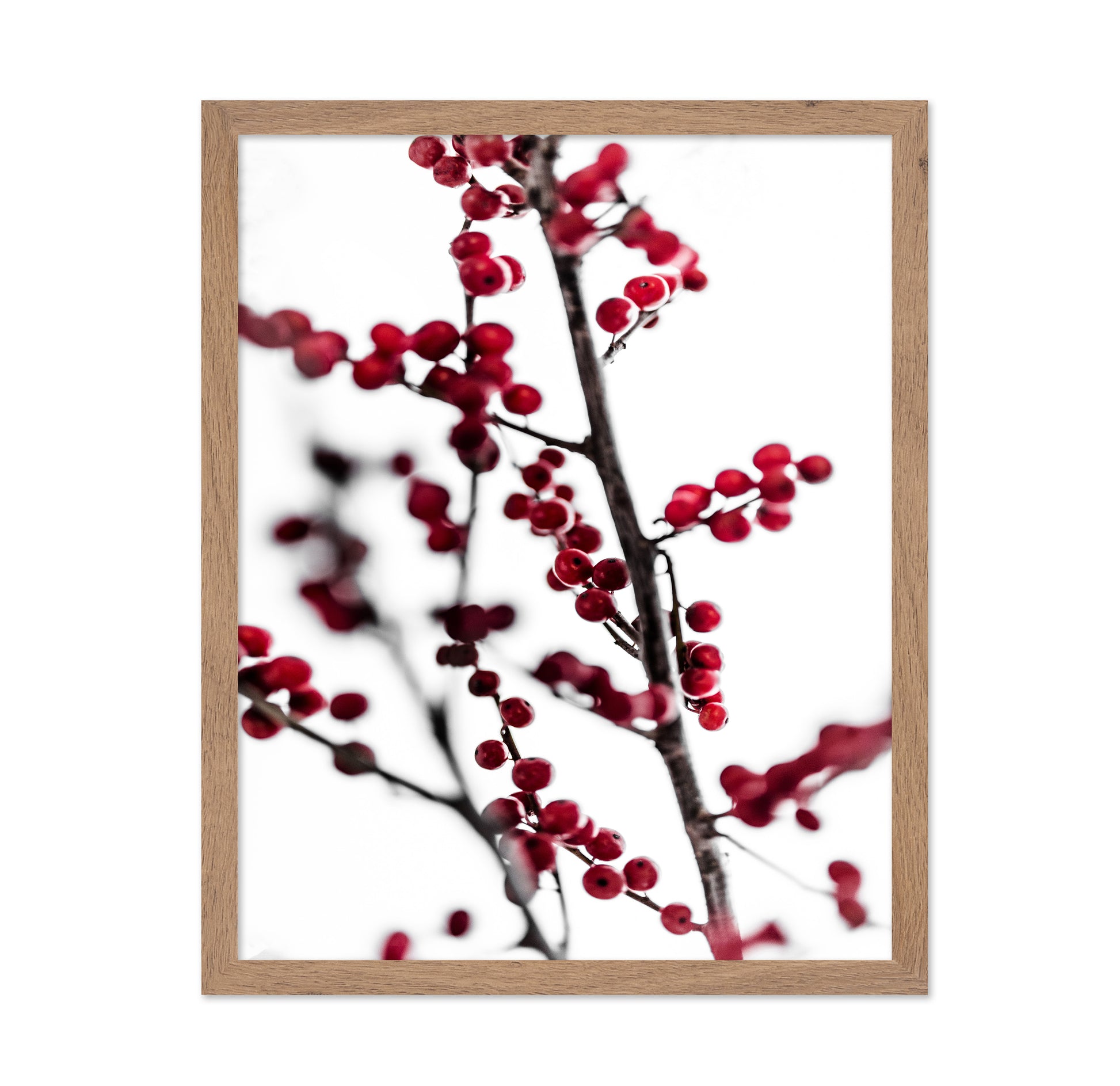 Winter Red Berries