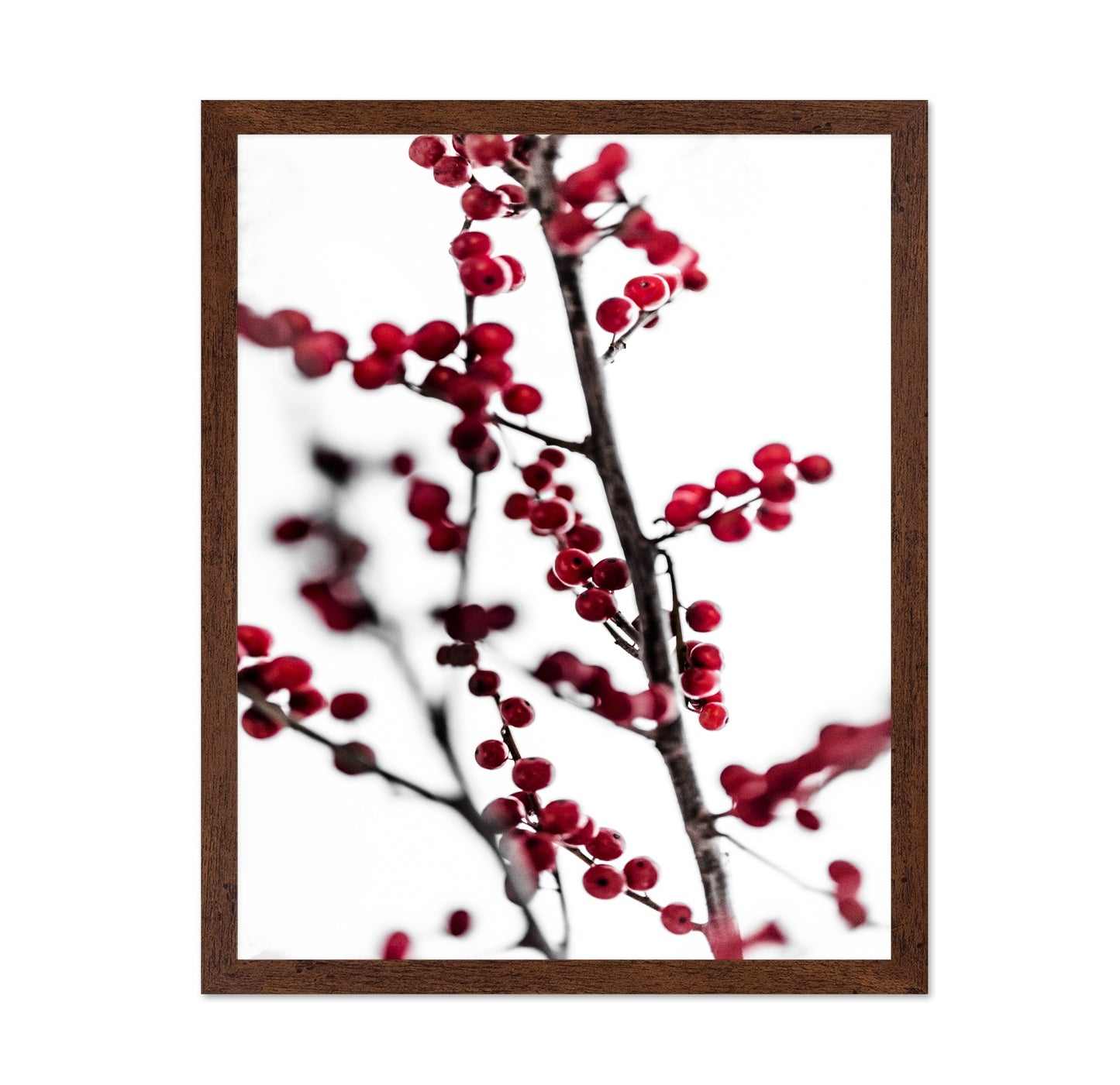 Winter Red Berries