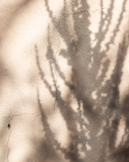 Tree Shadow Texture