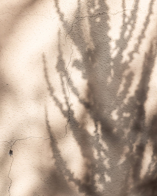 Tree Shadow Texture