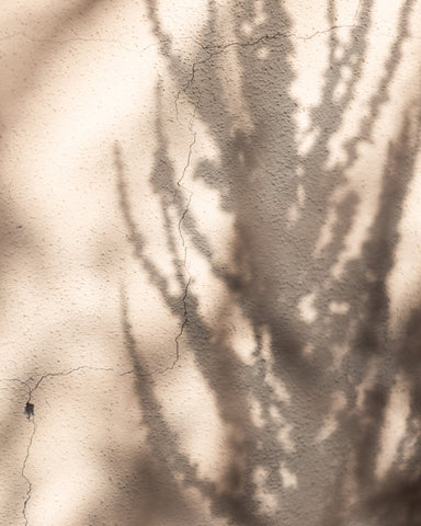 Tree Shadow Texture