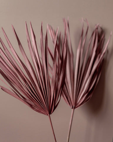Blush Palm Leaves