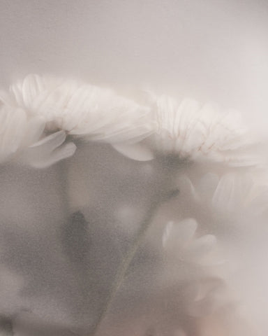 Dreamy Floral Haze