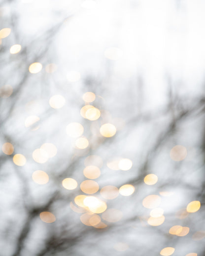 Soft Winter Glow