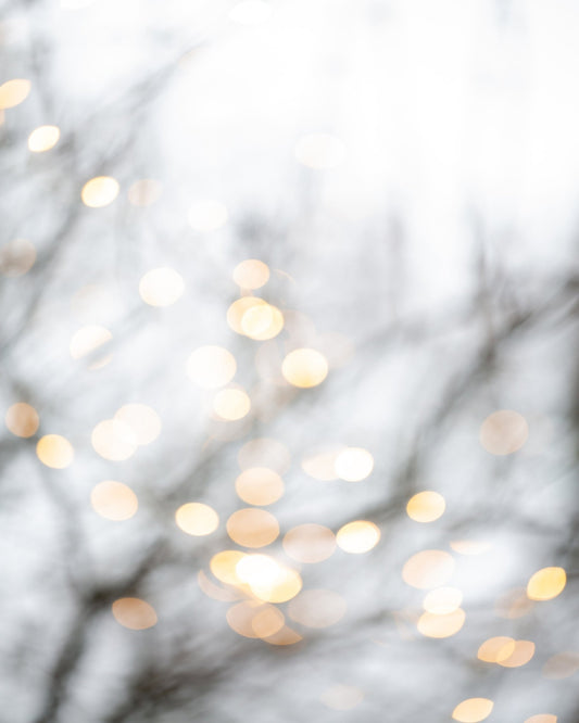 Soft Winter Glow