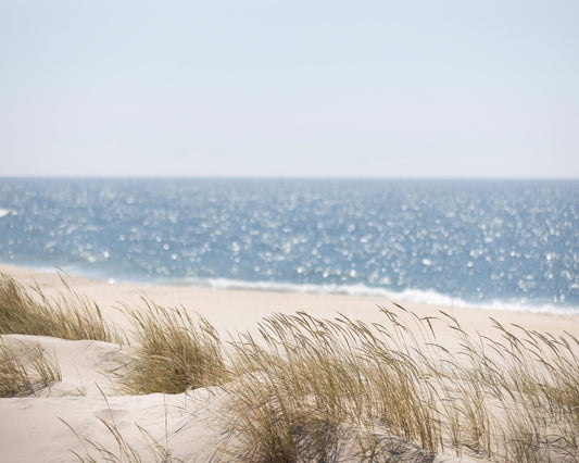 Coastal Breeze