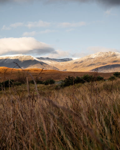 Golden Highland View