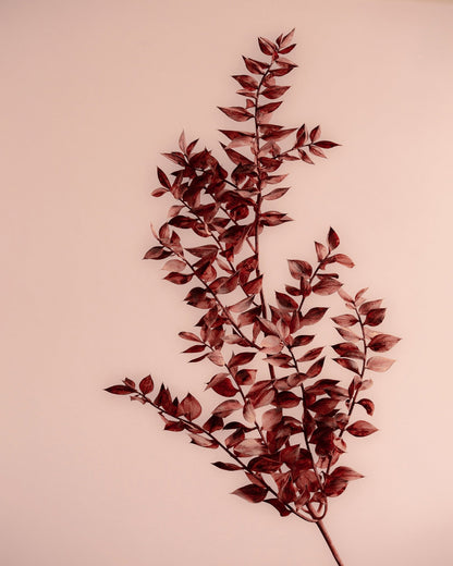 Crimson Leaves