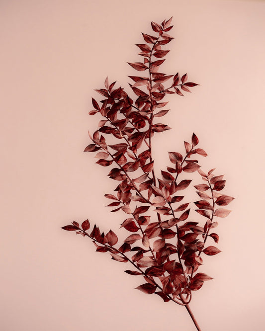 Crimson Leaves