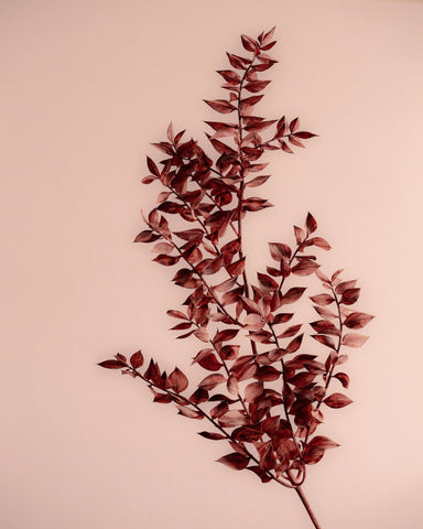 Crimson Leaves