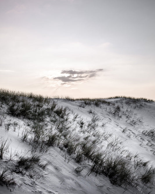 Coastal Dunes Light