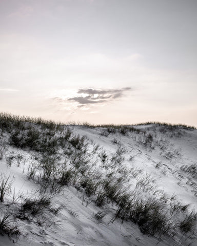 Coastal Dunes Light