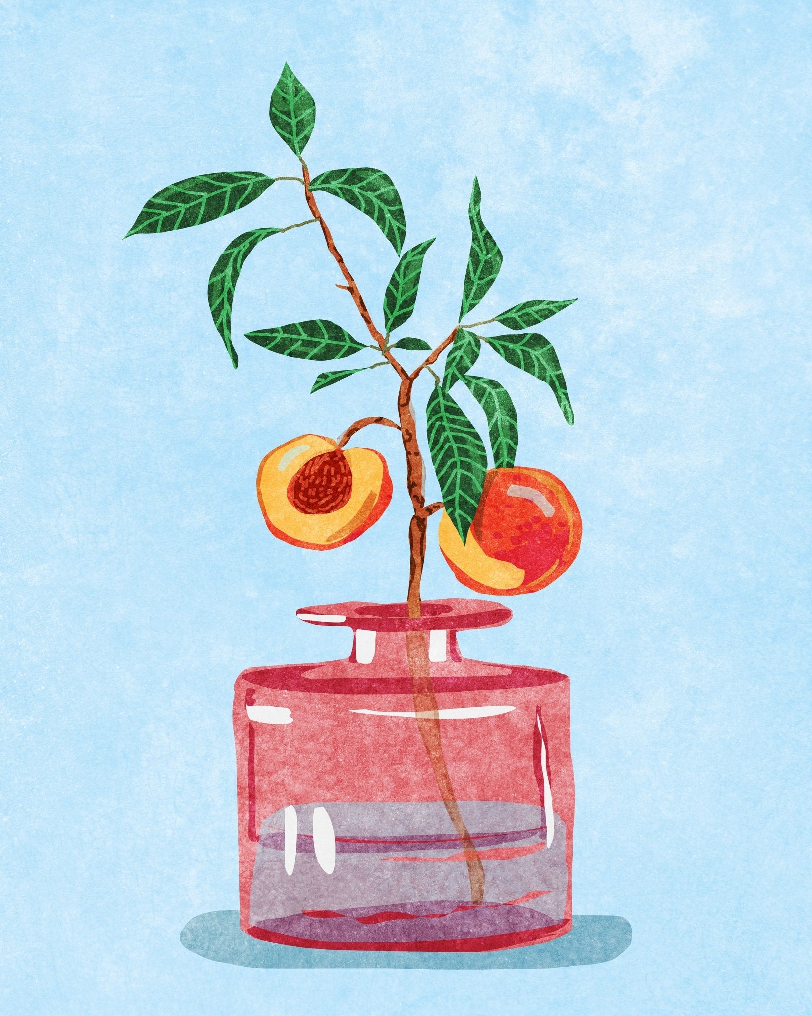 Peach Plant