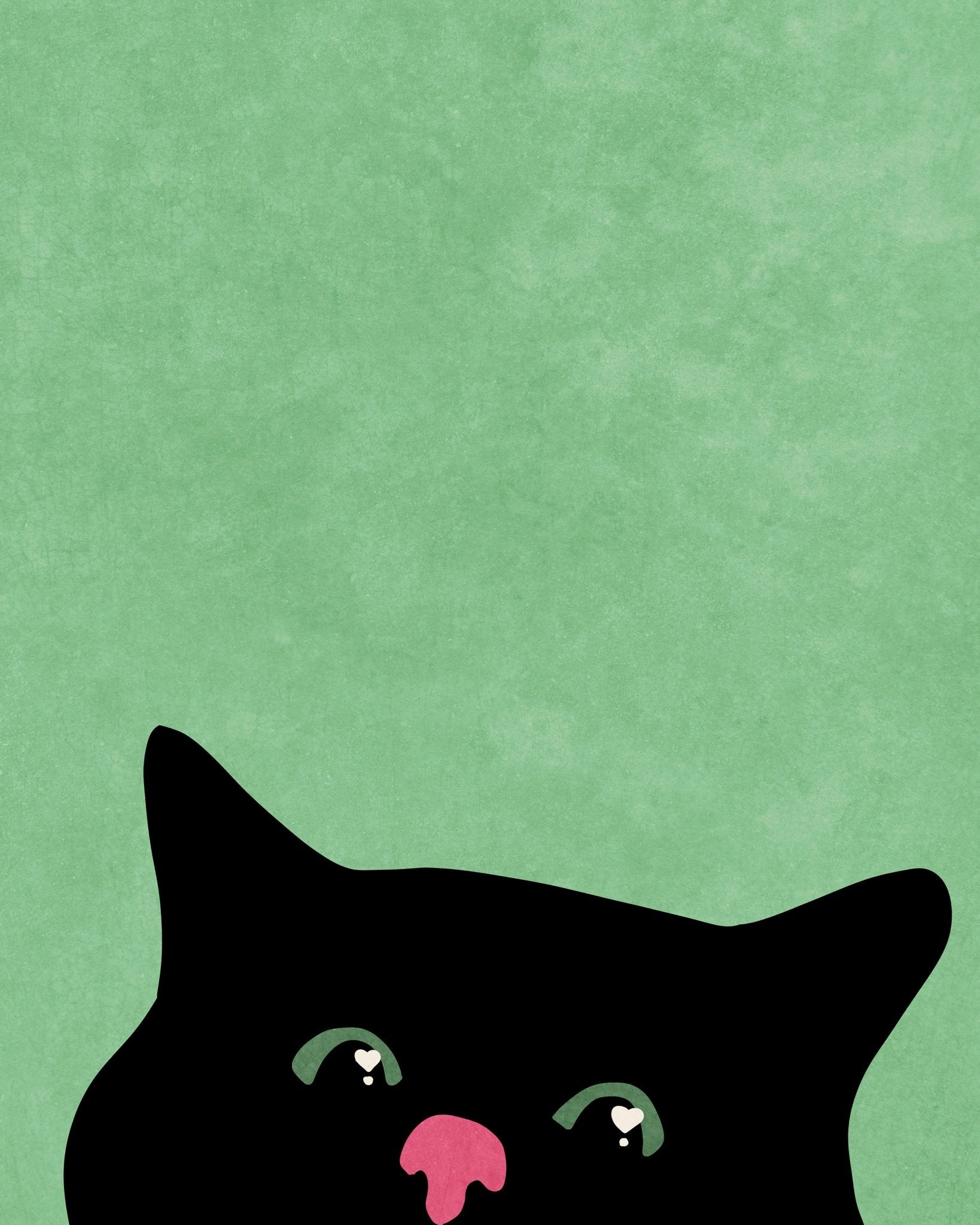 Curious Kitty