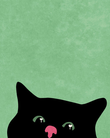Curious Kitty