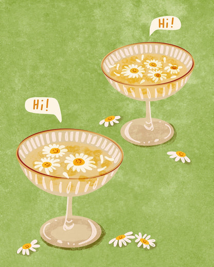 Hi Daisy Drinks