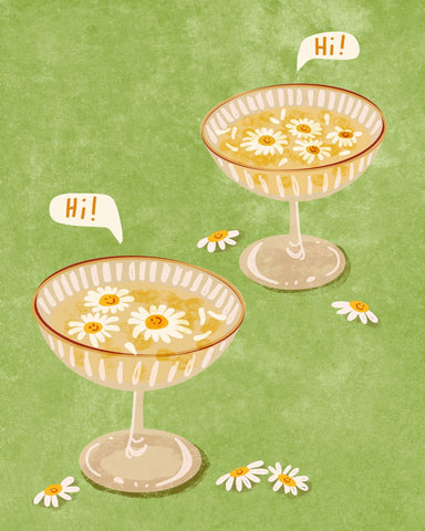 Hi Daisy Drinks