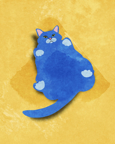 Chubby Blue Cat