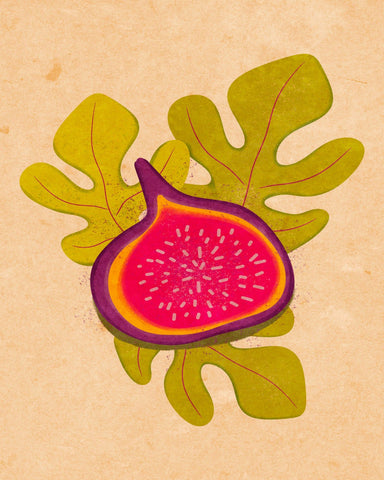 Fig Slice