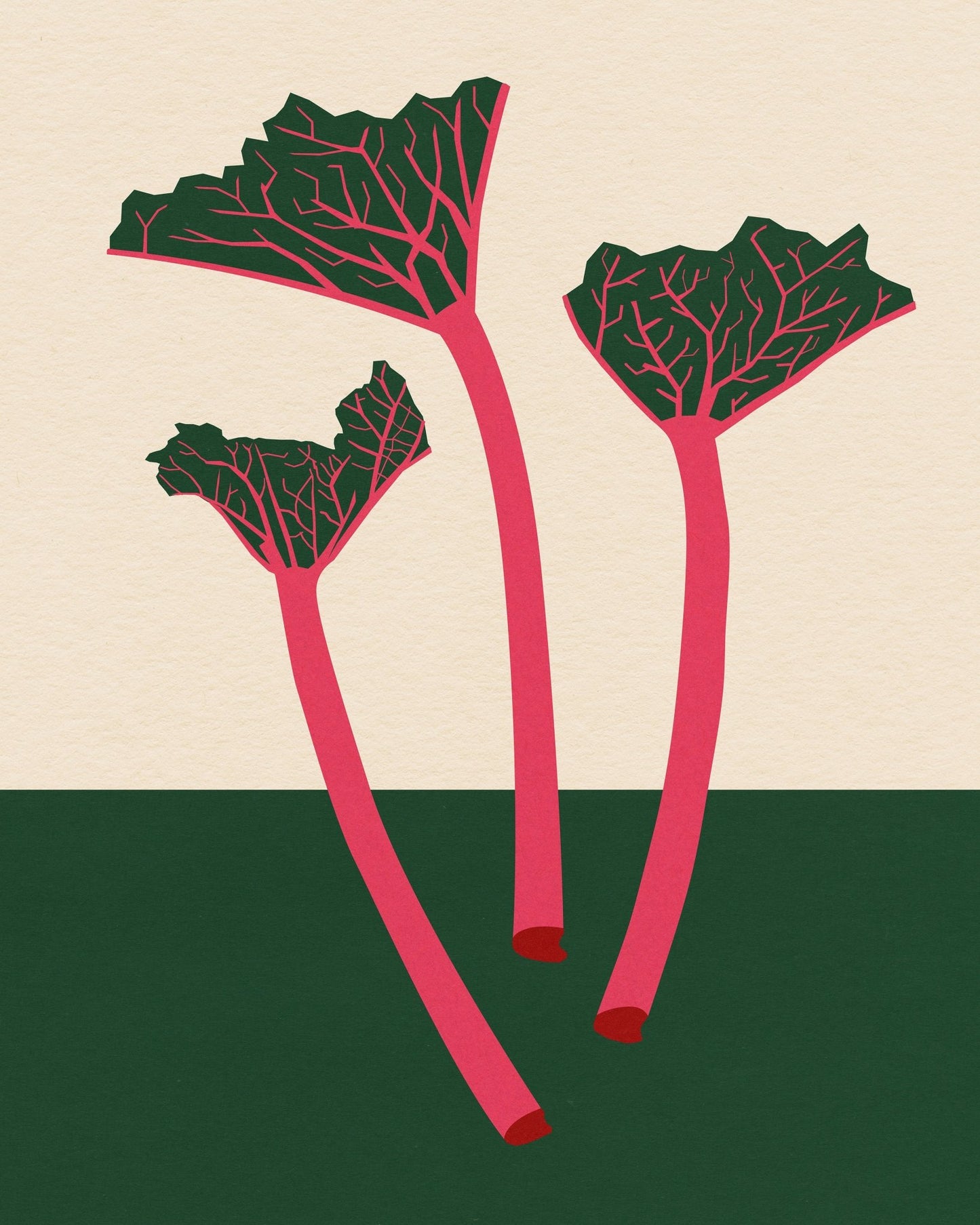 Rhubarb Stems