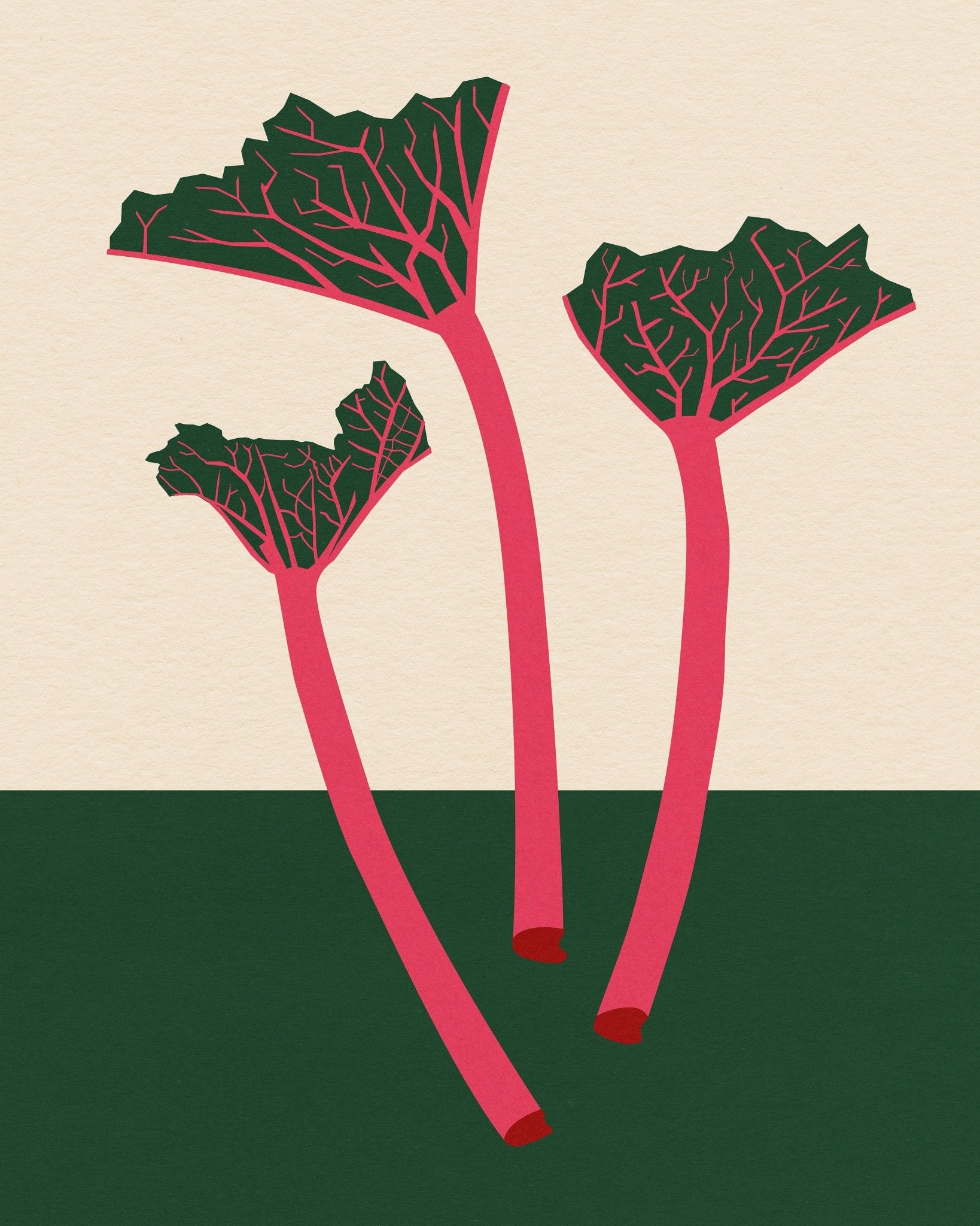 Rhubarb Stems