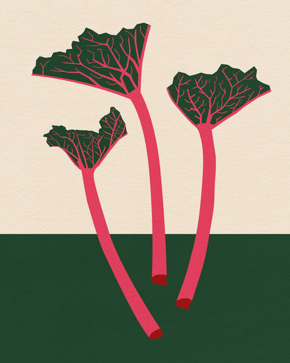 Rhubarb Stems
