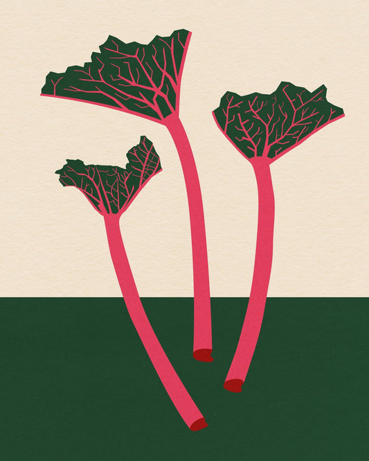 Rhubarb Stems