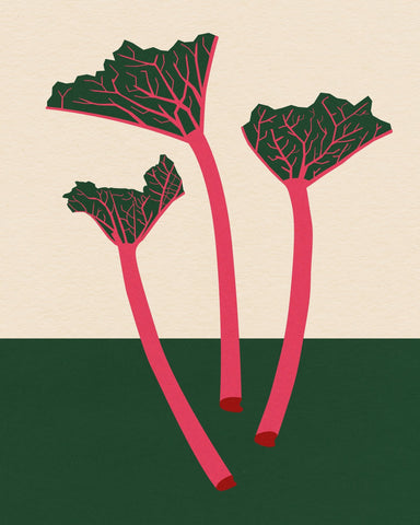 Rhubarb Stems