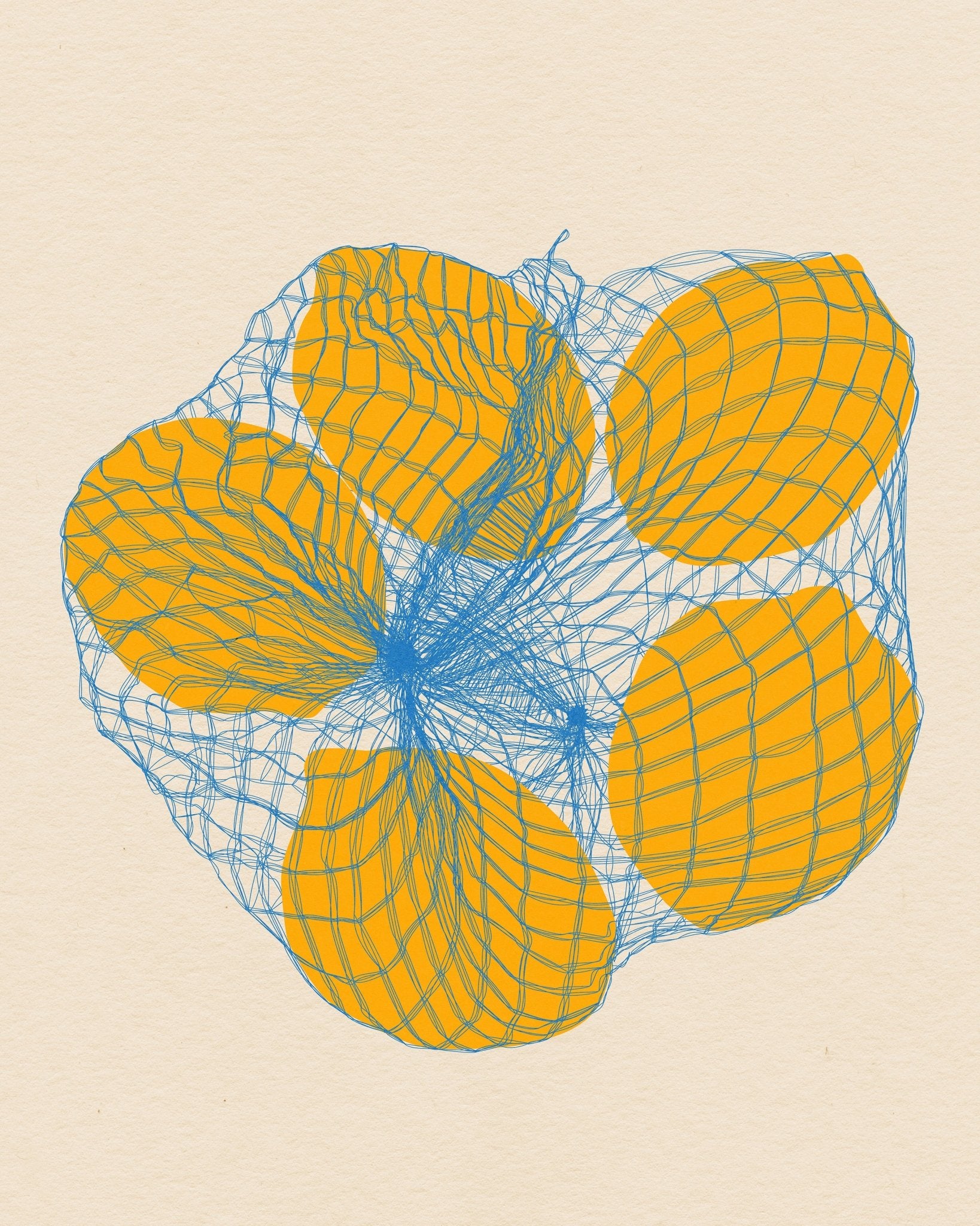 Lemon Net Bag