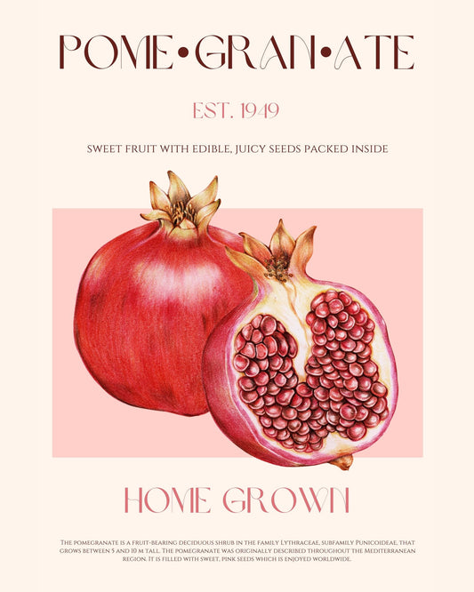 Pomegranate Fruit