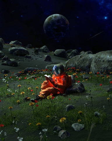 Astronaut�s Quiet Chapter