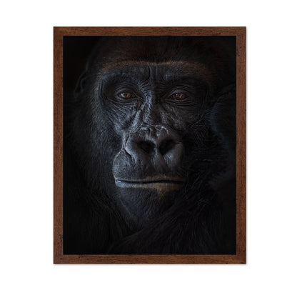 Primal Gaze