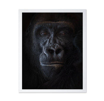 Primal Gaze