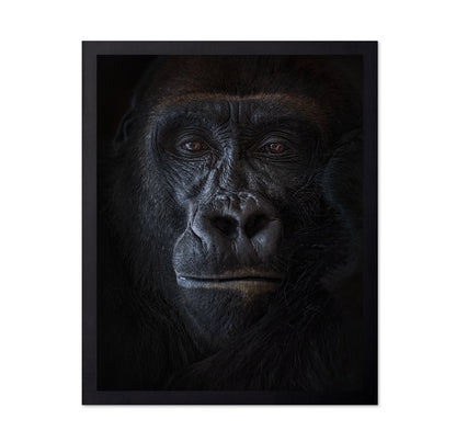 Primal Gaze