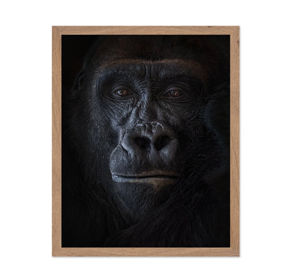 Primal Gaze