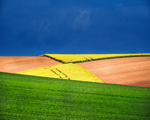 Fields of Contrast