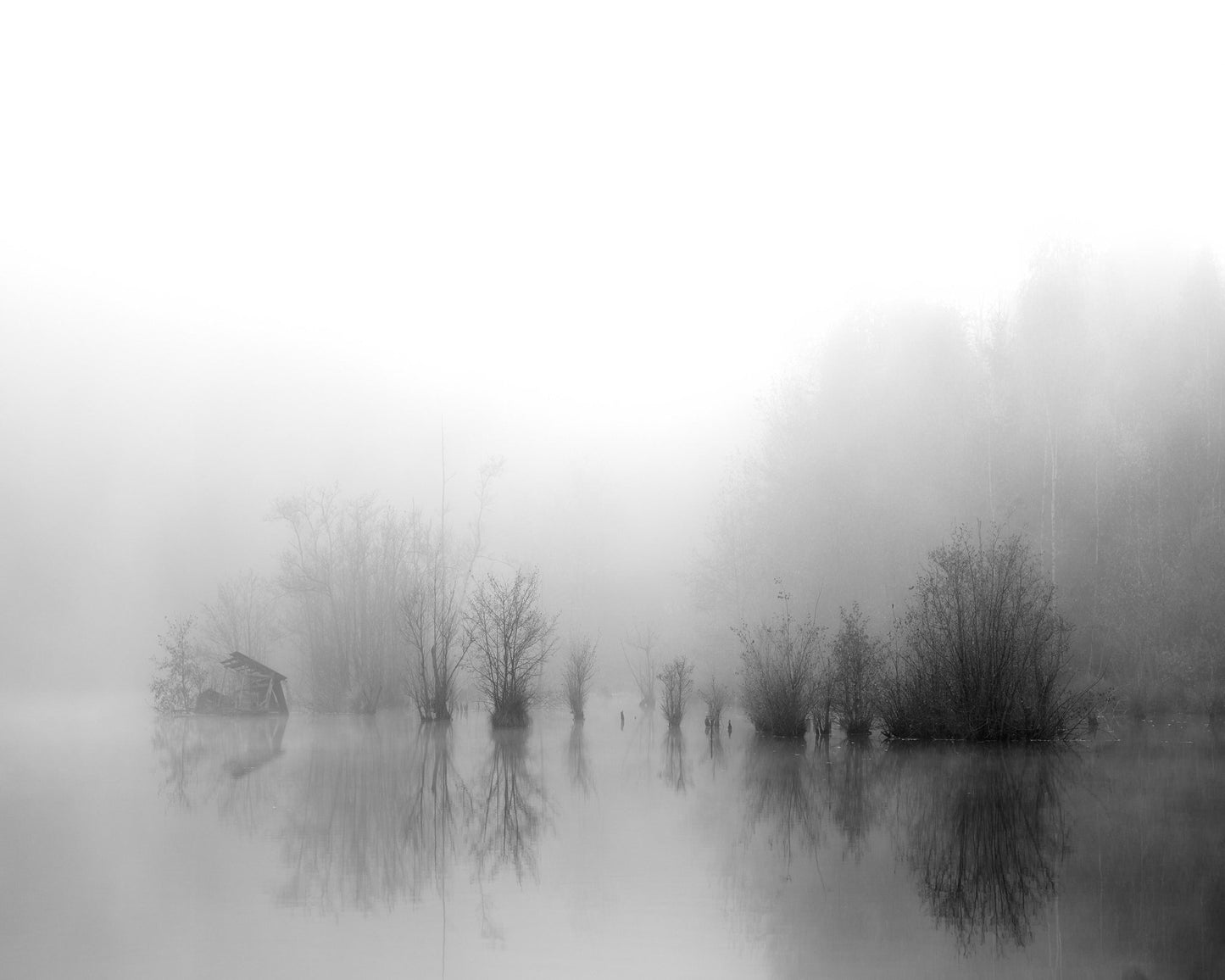 Misty River Silence No1