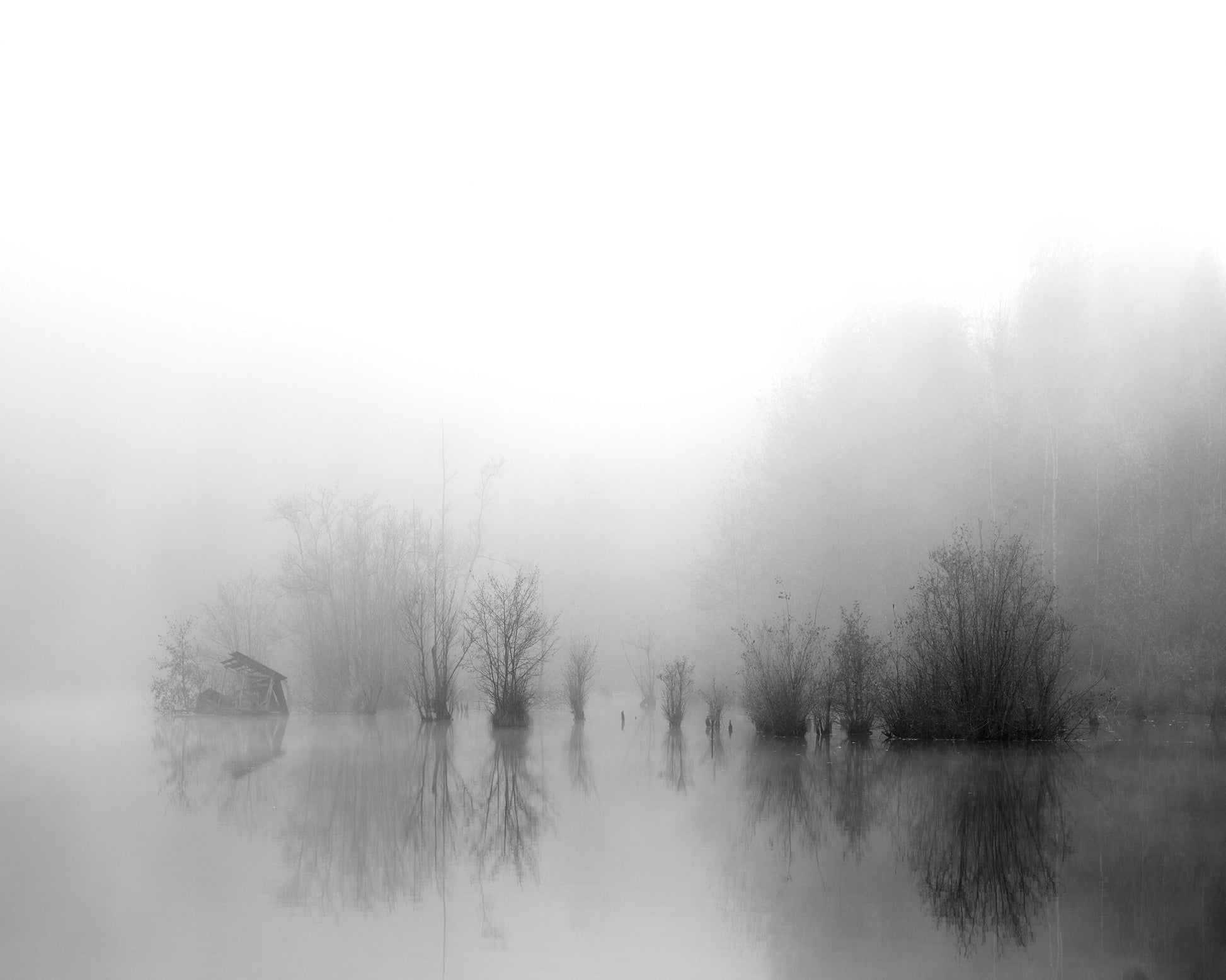 Misty River Silence No1